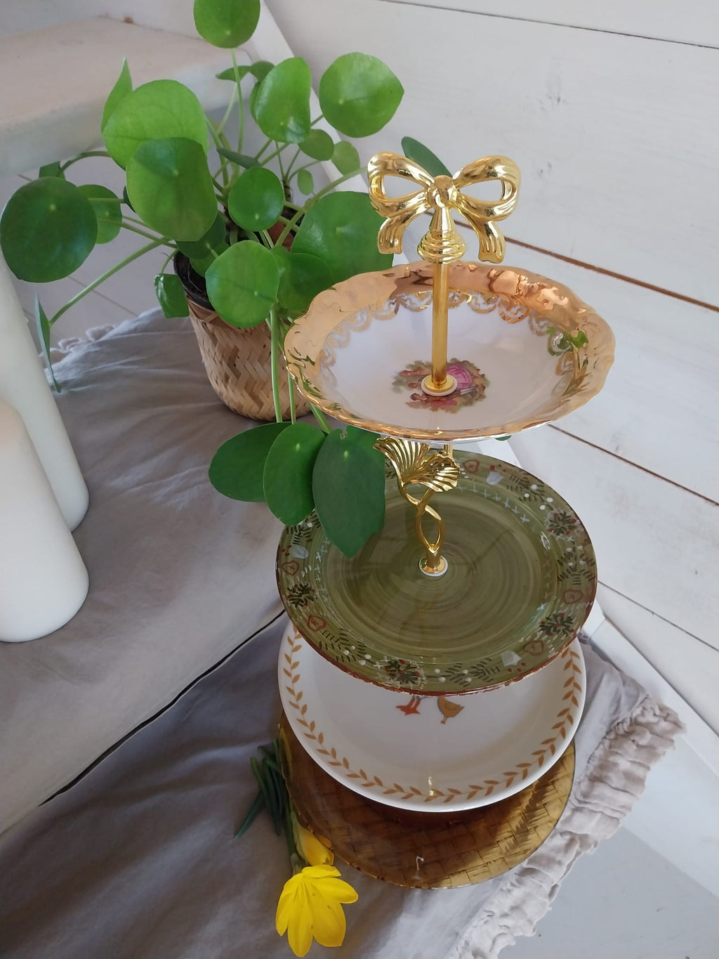 Les Saisons d'Azilis