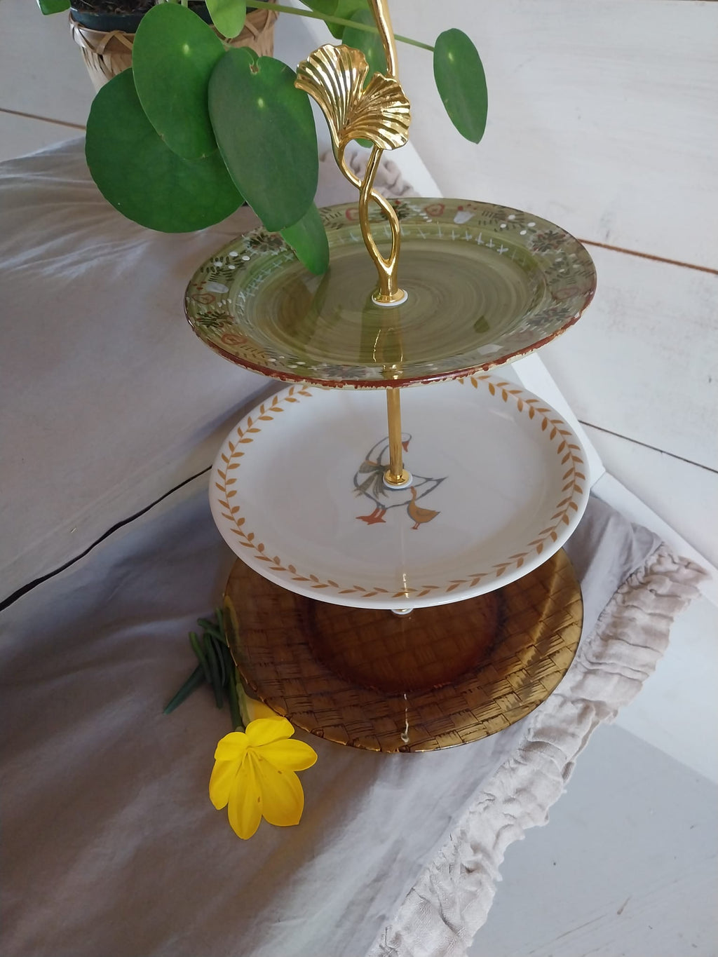 Les Saisons d'Azilis